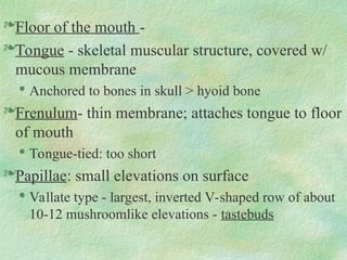 Floor of the mouth -
Tongue - skeletal muscular structure, covered w/
mucous membrane

Anchored to bones in skull > hyoid bone
Frenulum- thin membrane; attaches tongue to floor
of mouth

Tongue-tied: too short
Papillae: small elevations on surface

Vallate type - largest, inverted V-shaped row of about
10-12 mushroomlike elevations - tastebuds
 