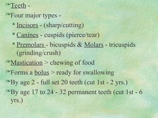Teeth -
Four major types -

Incisors - (sharp/cutting)

Canines - cuspids (pierce/tear)

Premolars - bicuspids & Molars - tricuspids
(grinding/crush)
Mastication > chewing of food
Forms a bolus > ready for swallowing
By age 2 - full set 20 teeth (cut 1st - 2 yrs.)
By age 17 to 24 - 32 permanent teeth (cut 1st - 6
yrs.)
 