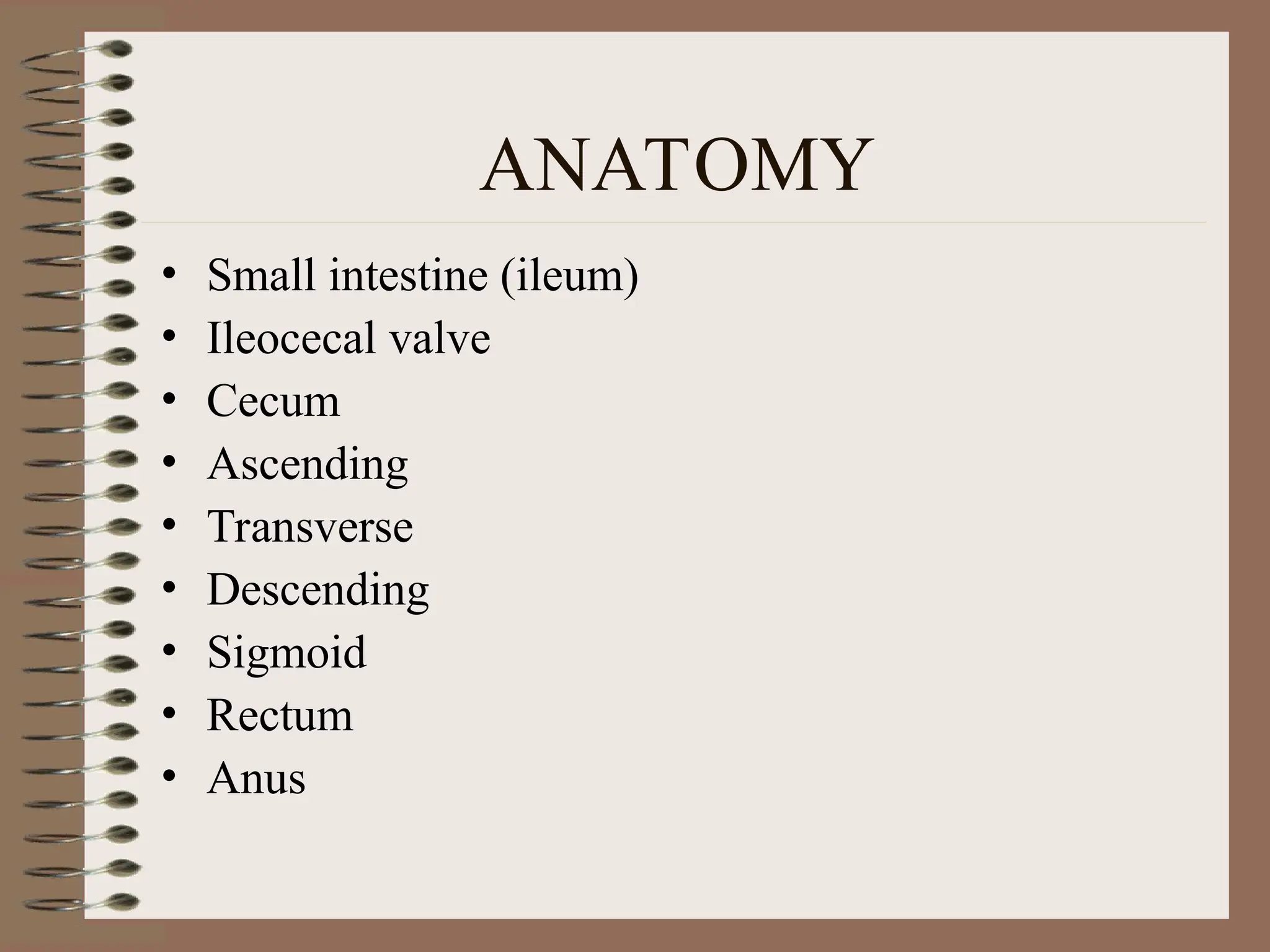 ANATOMY
• Small intestine (ileum)
• Ileocecal valve
• Cecum
• Ascending
• Transverse
• Descending
• Sigmoid
• Rectum
• Anus
 
