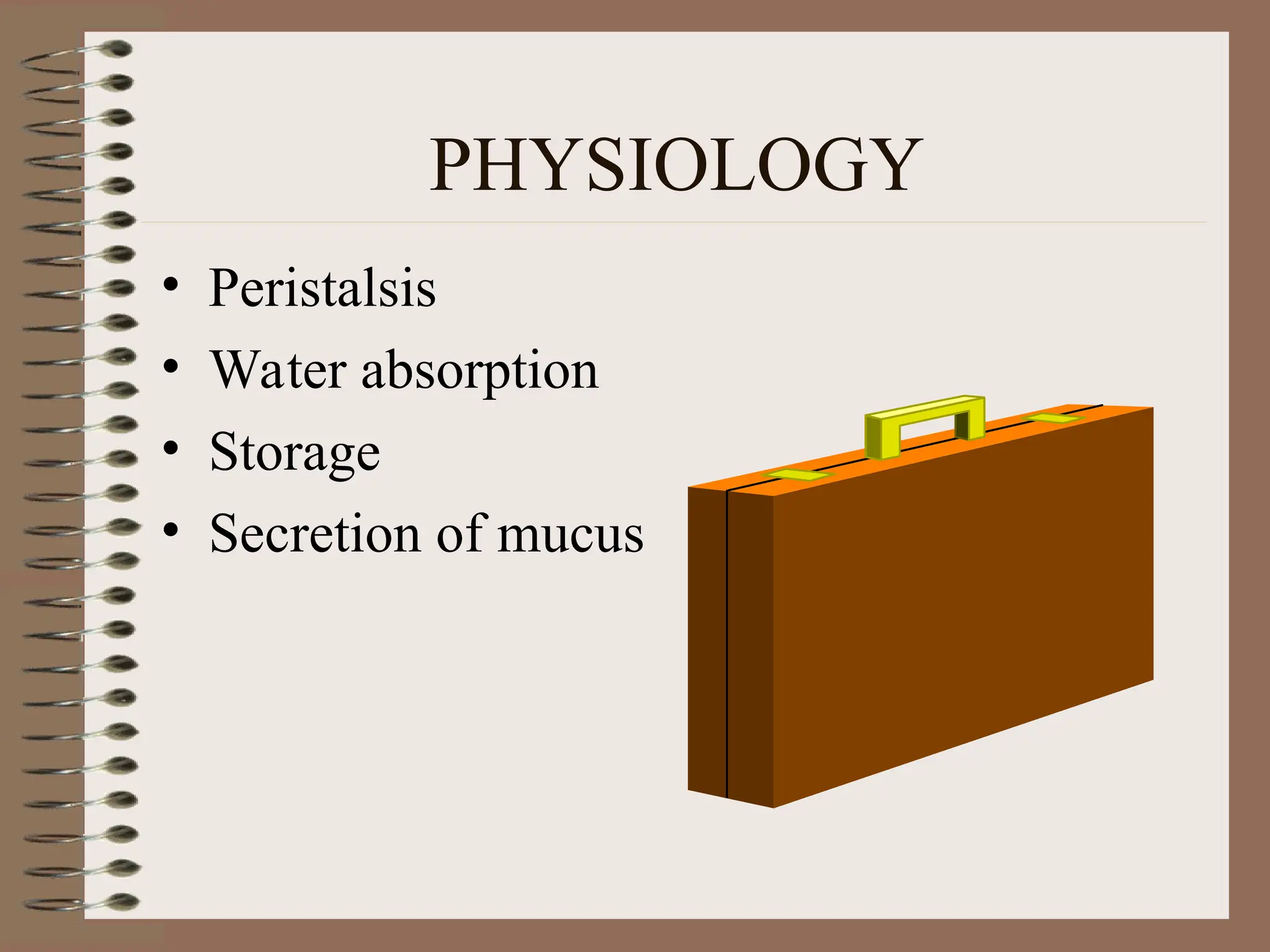 PHYSIOLOGY
• Peristalsis
• Water absorption
• Storage
• Secretion of mucus
 