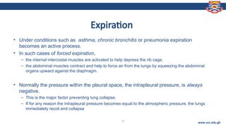 Comprehensive Overview of Respiratory Physiology and Gas Exchange ...