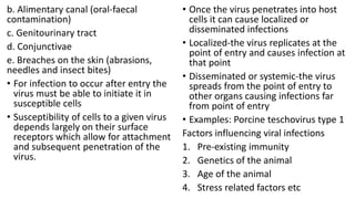 b. Alimentary canal (oral-faecal
contamination)
c. Genitourinary tract
d. Conjunctivae
e. Breaches on the skin (abrasions,
needles and insect bites)
• For infection to occur after entry the
virus must be able to initiate it in
susceptible cells
• Susceptibility of cells to a given virus
depends largely on their surface
receptors which allow for attachment
and subsequent penetration of the
virus.
• Once the virus penetrates into host
cells it can cause localized or
disseminated infections
• Localized-the virus replicates at the
point of entry and causes infection at
that point
• Disseminated or systemic-the virus
spreads from the point of entry to
other organs causing infections far
from point of entry
• Examples: Porcine teschovirus type 1
Factors influencing viral infections
1. Pre-existing immunity
2. Genetics of the animal
3. Age of the animal
4. Stress related factors etc
 