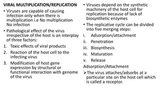 VIRAL MULTIPLICATION/REPLICATION
• Viruses are capable of causing
infection only when there is
multiplication i.e No multiplication
No infection
• Pathological effect of the virus
irrespective of the host is an interplay
of three factors:
1. Toxic effects of viral products
2. Reaction of the host cell to the
infecting virus
3. Modification of host gene
expression by structural or
functional interaction with genome
of the virus
• Viruses depend on the synthetic
machinery of the host cell for
replication because of lack of
biosynthetic enzymes
• The replicative cycle can be divided
into five merging steps:
i. Adsorption/attachment
ii. Penetration
iii. Biosynthesis
iv. Maturation
v. Release
Adsorption/Attachment
The virus attaches/adsorbs at a
particular site on the host cell which
is called a receptor.
 