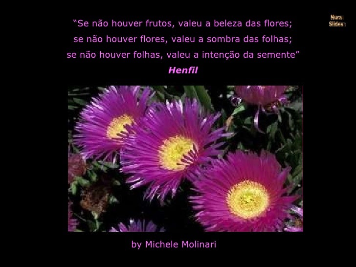 Se Nao Houver Frutos Valeu A Beleza Das Flores