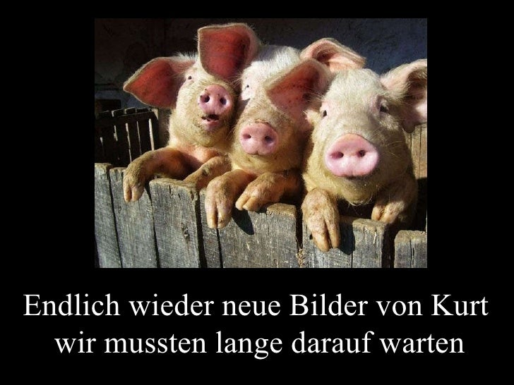 Partnervermittlung akademiker singles niveau image 2