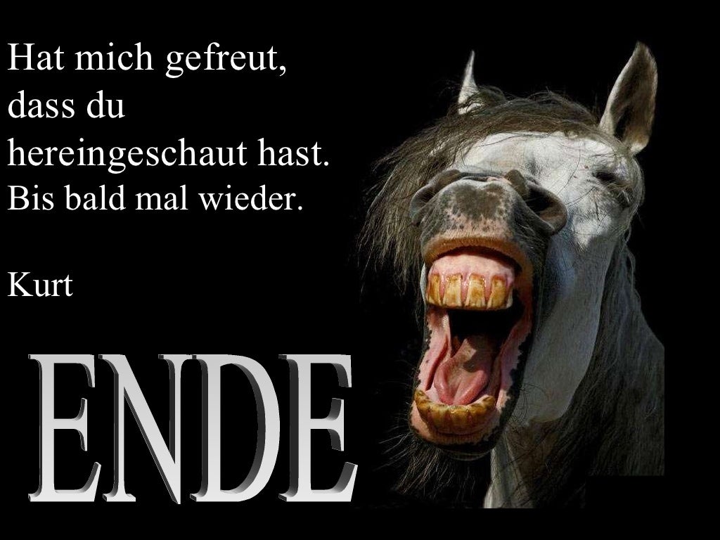Witzige Bilder II.