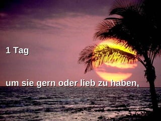 1 Tag um sie gern oder lieb zu haben,  