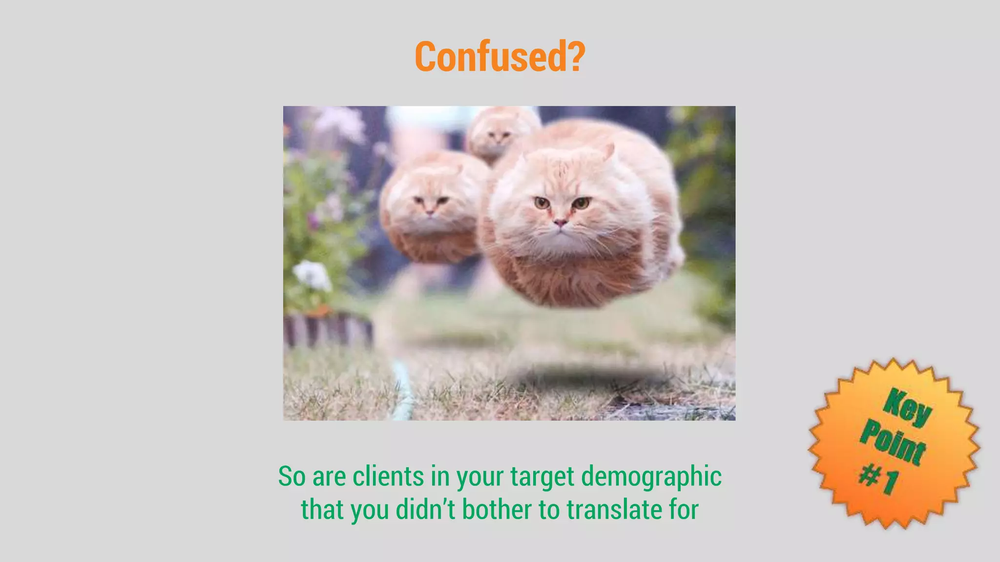 Confused?
So are clients in your target demographic
that you didn’t bother to translate for
 