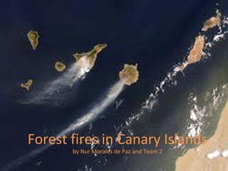 Forest fires in Canary Islands
       by Nur Morales de Paz and Team 2
 