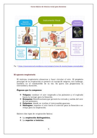 Curso básico de técnica vocal para docentes
5
Fig. 1 https://musicameruelo.wordpress.com/category/temas-de-musica/mapas-conceptuales/
El aparato respiratorio
El sistema respiratorio almacena y hace circular el aire. El propósito
principal de la respiración es proveer al cuerpo de oxígeno, sin e mbargo,
también es el combustible de la voz. Es quien nos proporciona la
intensidad y duración.
Órganos que lo componen:
 Tráquea: conduce el aire inspirado a los pulmones y el espirado
hacia la laringe para la fonación.
 Bronquios: Ramificaciones que permite la entrada y salida del aire
de los pulmones.
 Pulmones: donde se realiza el intercambio gaseoso.
 Diafragma: impulsa el aire hacia el exterior para la fonación o se
relaja para la inspiración.
Existen dos tipos de respiración básica:
 La respiración diafragmática.
 La superior o torácica.
 
