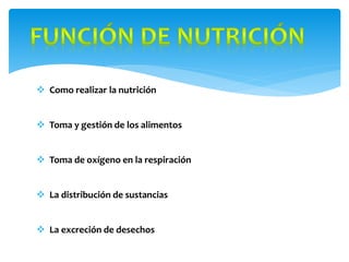  Como realizar la nutrición
Toma y gestión de los alimentos
Toma de oxígeno en la respiración
La distribución de sustancias
La excreción de desechos
