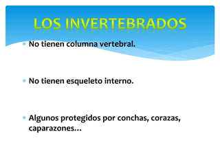  No tienen columna vertebral.
No tienen esqueleto interno.
Algunos protegidos por conchas, corazas,
caparazones…