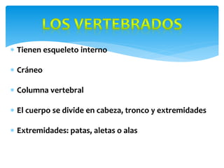  Tienen esqueleto interno
Cráneo
Columna vertebral
El cuerpo se divide en cabeza, tronco y extremidades
Extremidades: patas, aletas o alas
