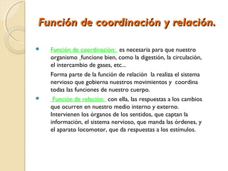 Función de coordinación y relación.

   Función de coordinación: es necesaria para que nuestro
    organismo funcione bien, como la digestión, la circulación,
    el intercambio de gases, etc...
    Forma parte de la función de relación la realiza el sistema
    nervioso que gobierna nuestros movimientos y coordina
    todas las funciones de nuestro cuerpo.
    Función de relación: con ella, las respuestas a los cambios
    que ocurren en nuestro medio interno y externo.
    Intervienen los órganos de los sentidos, que captan la
    información, el sistema nervioso, que manda las órdenes, y
    el aparato locomotor, que da respuestas a los estímulos.
 