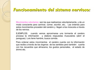 Funcionamiento del sistema nervioso:

 Movimientos voluntarios: son los que realizamos voluntariamente, y de un
 modo consciente para caminar, comer, escribir, etc.. Las órdenes para
 estos movimientos proceden del cerebro y llegan a los músculos a través
 de los nervios.
 EJEMPLOS: cuando vemos aproximarse una tormenta el cerebro
 procesa la información y elabora respuestas musculares (abrir el
 paraguas). Luis tiene hambre, busca comida.
 Para ordenar estos movimientos el cerebro cuenta con la información
 que recibe a través de los órganos de los sentidos pero también cuenta
 con los recuerdos que almacena, los gustos personales, el estado de
 ánimo etc.
 