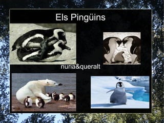 Els Pingüins nuria&queralt 