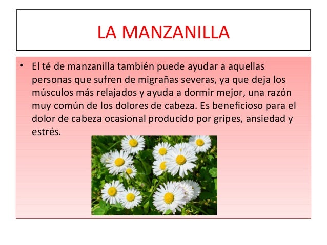 Plantas Medicinales 1