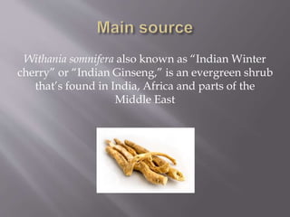 Withania somnifera also known as “Indian Winter
cherry” or “Indian Ginseng,” is an evergreen shrub
that’s found in India, Africa and parts of the
Middle East
 