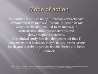 Experimental studies using T. terrestris extracts have
demonstrated an increase in sexual function in rats
which has been attributed to an increase in
testosterone, dihydrotestosterone, and
dehydroepiandrosterone.
One clinical study has also demonstrated that T.
terrestris extract increases body's natural testosterone
levels and thereby improves female desire and helps
build muscle.
Singh, S., Nair, V., & Gupta, Y. K. (2012). Evaluation of the aphrodisiac activity of Tribulus terrestris Linn. in sexually sluggish male albino
rats. Journal of pharmacology & pharmacotherapeutics, 3(1), 43–47. https://doi.org/10.4103/0976-500X.92512
 