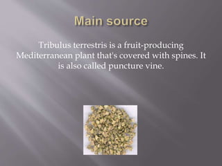Tribulus terrestris is a fruit-producing
Mediterranean plant that's covered with spines. It
is also called puncture vine.
 