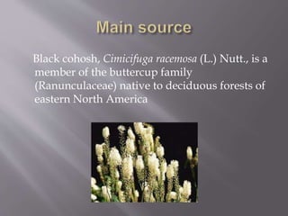 Black cohosh, Cimicifuga racemosa (L.) Nutt., is a
member of the buttercup family
(Ranunculaceae) native to deciduous forests of
eastern North America
 