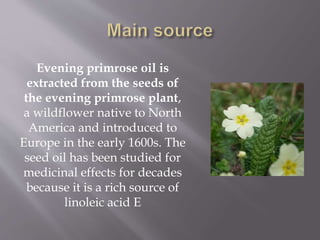 Evening primrose oil is
extracted from the seeds of
the evening primrose plant,
a wildflower native to North
America and introduced to
Europe in the early 1600s. The
seed oil has been studied for
medicinal effects for decades
because it is a rich source of
linoleic acid E
 
