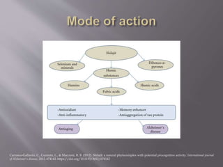 Carrasco-Gallardo, C., Guzmán, L., & Maccioni, R. B. (2012). Shilajit: a natural phytocomplex with potential procognitive activity. International journal
of Alzheimer's disease, 2012, 674142. https://doi.org/10.1155/2012/674142
 