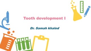 Tooth development I
Dr. Samah khaled
 