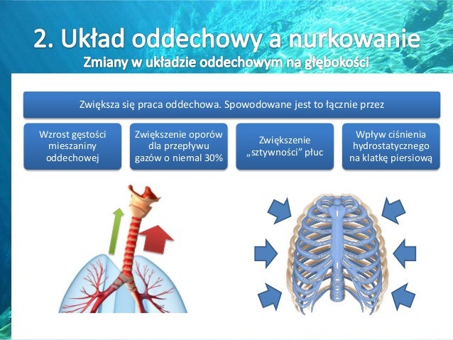 Fizjologia nurkowania