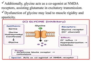 Additionally, glycine acts as a co-agonist at NMDA
receptors, assisting glutamate in excitatory transmission.
Dysfunction of glycine may lead to muscle rigidity and
spasticity.
 