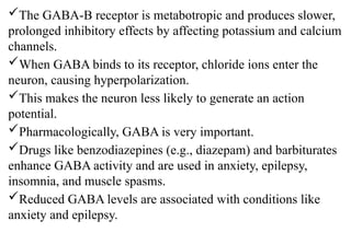 The GABA-B receptor is metabotropic and produces slower,
prolonged inhibitory effects by affecting potassium and calcium
channels.
When GABA binds to its receptor, chloride ions enter the
neuron, causing hyperpolarization.
This makes the neuron less likely to generate an action
potential.
Pharmacologically, GABA is very important.
Drugs like benzodiazepines (e.g., diazepam) and barbiturates
enhance GABA activity and are used in anxiety, epilepsy,
insomnia, and muscle spasms.
Reduced GABA levels are associated with conditions like
anxiety and epilepsy.
 