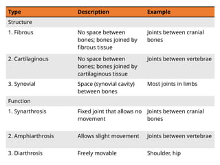 Type Description Example
Structure
1. Fibrous No space between
bones; bones joined by
fibrous tissue
Joints between cranial
bones
2. Cartilaginous No space between
bones; bones joined by
cartilaginous tissue
Joints between vertebrae
3. Synovial Space (synovial cavity)
between bones
Most joints in limbs
Function
1. Synarthrosis Fixed joint that allows no
movement
Joints between cranial
bones
2. Amphiarthrosis Allows slight movement Joints between vertebrae
3. Diarthrosis Freely movable Shoulder, hip
 
