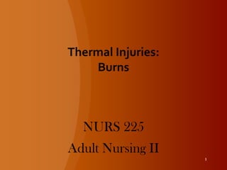 Thermal Injuries: Burns NURS 225 Adult Nursing II 1 