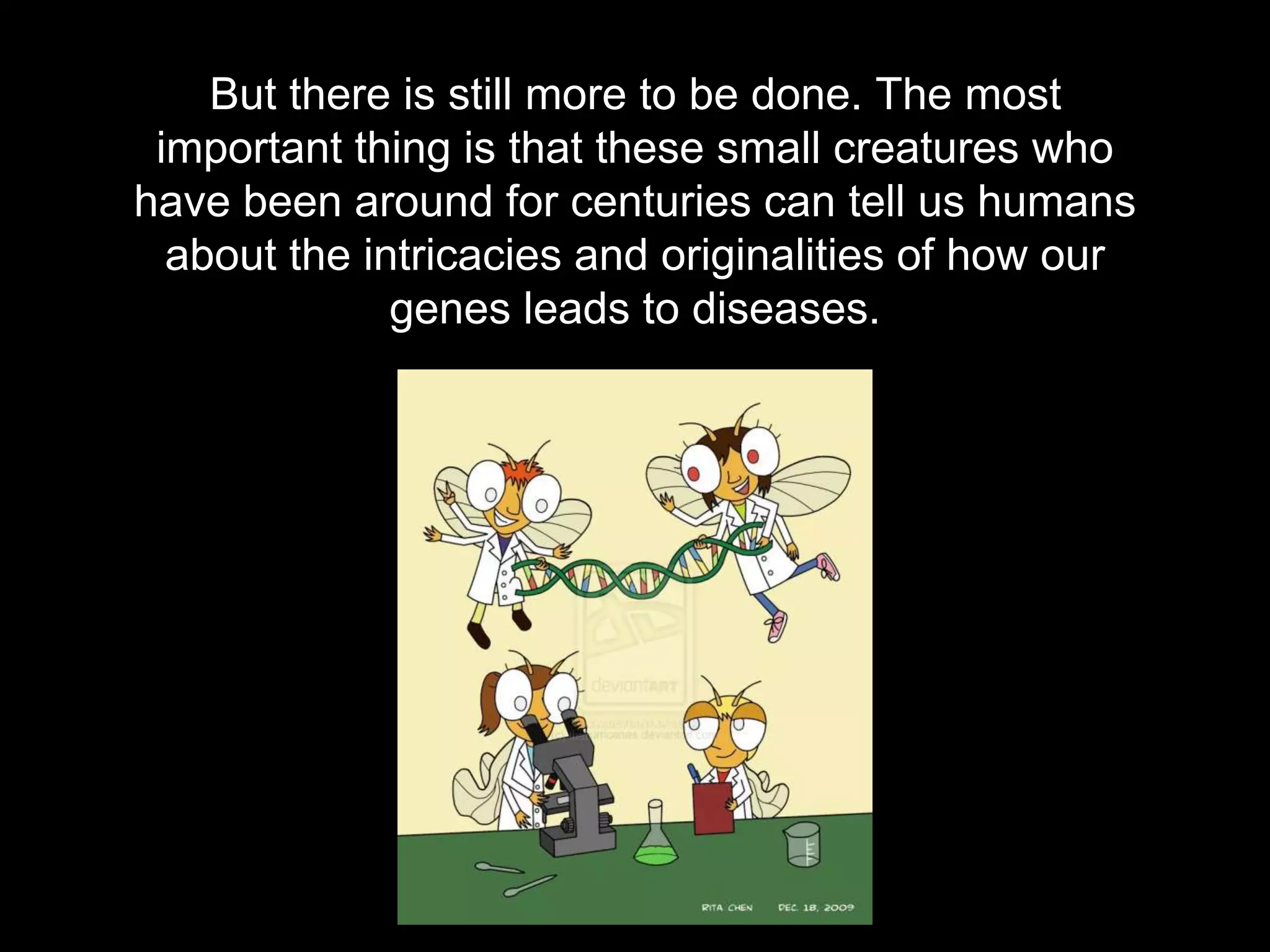 But there is still more to be done. The most 
important thing is that these small creatures who 
have been around for centuries can tell us humans 
about the intricacies and originalities of how our 
genes leads to diseases. 
