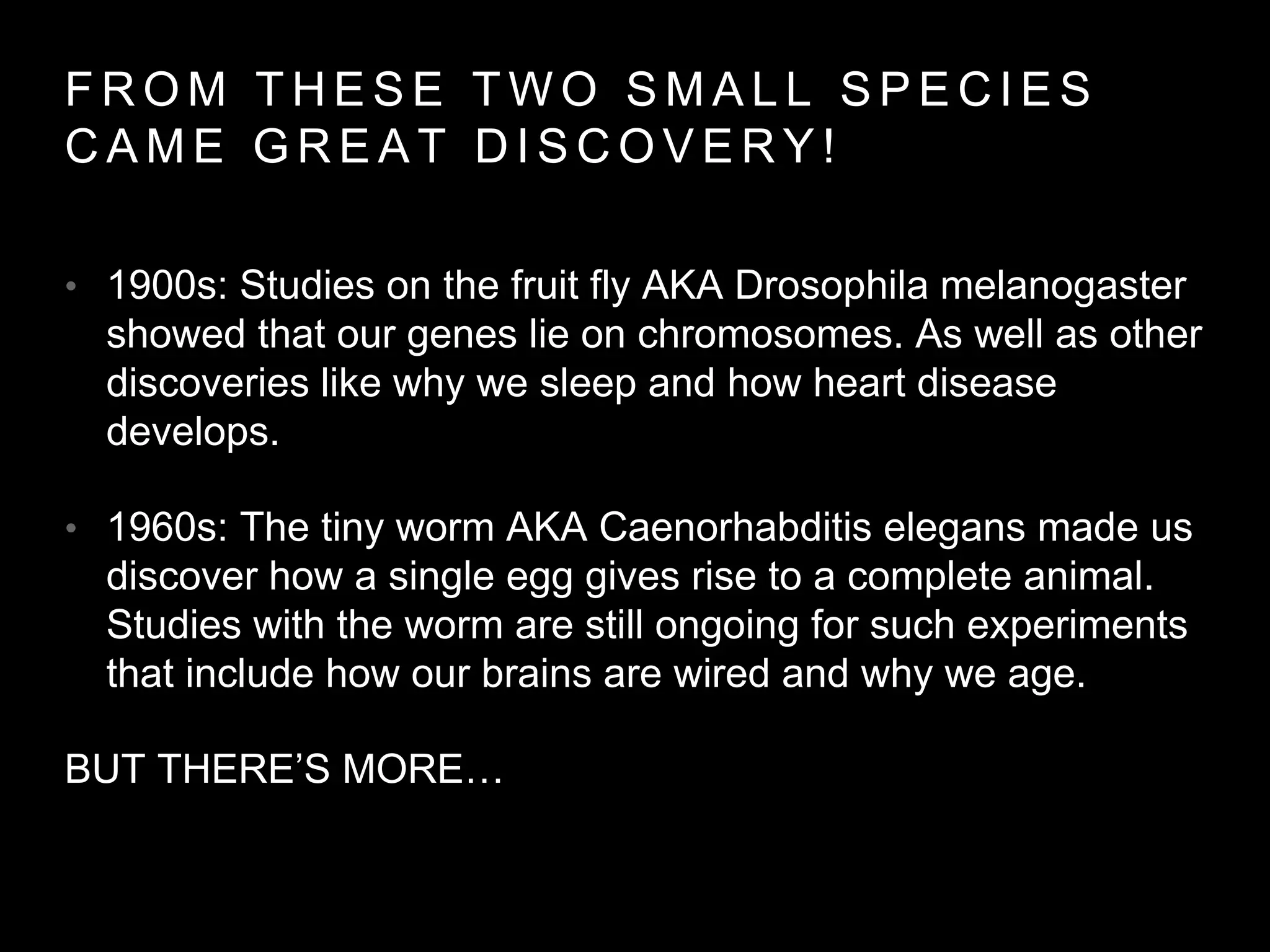 FROM THESE TWO SMAL L SPECIES 
CAME GREAT DISCOVERY! 
• 1900s: Studies on the fruit fly AKA Drosophila melanogaster 
showed that our genes lie on chromosomes. As well as other 
discoveries like why we sleep and how heart disease 
develops. 
• 1960s: The tiny worm AKA Caenorhabditis elegans made us 
discover how a single egg gives rise to a complete animal. 
Studies with the worm are still ongoing for such experiments 
that include how our brains are wired and why we age. 
BUT THERE’S MORE… 
 