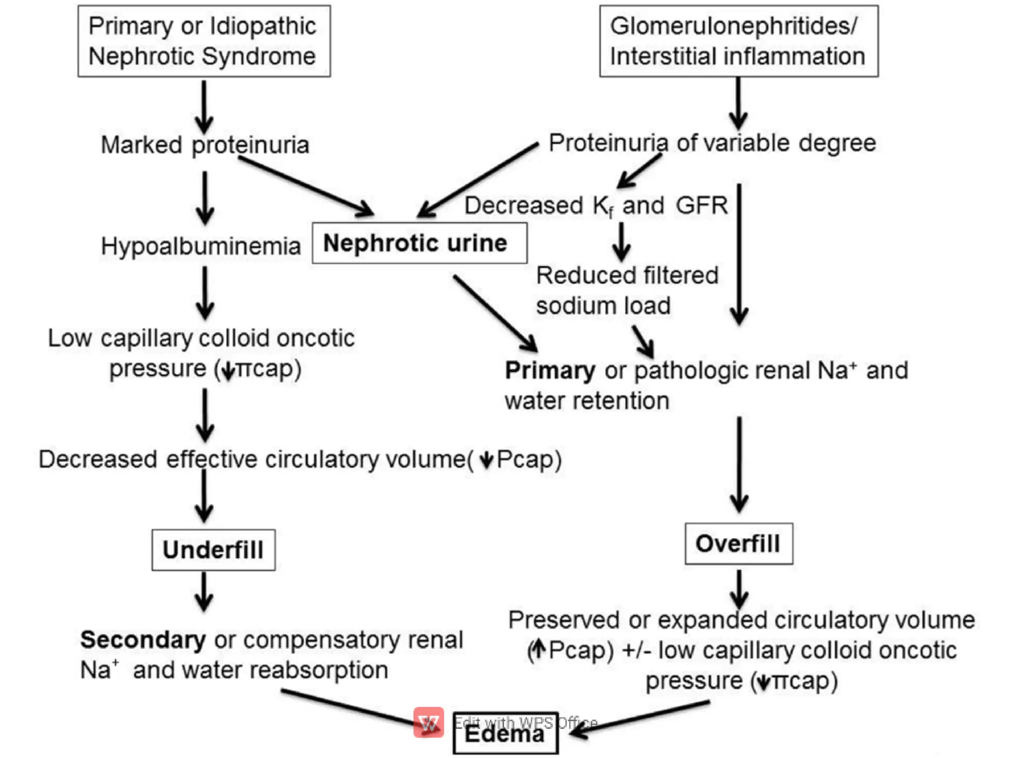 PATHOPHYSIOLOGY
 