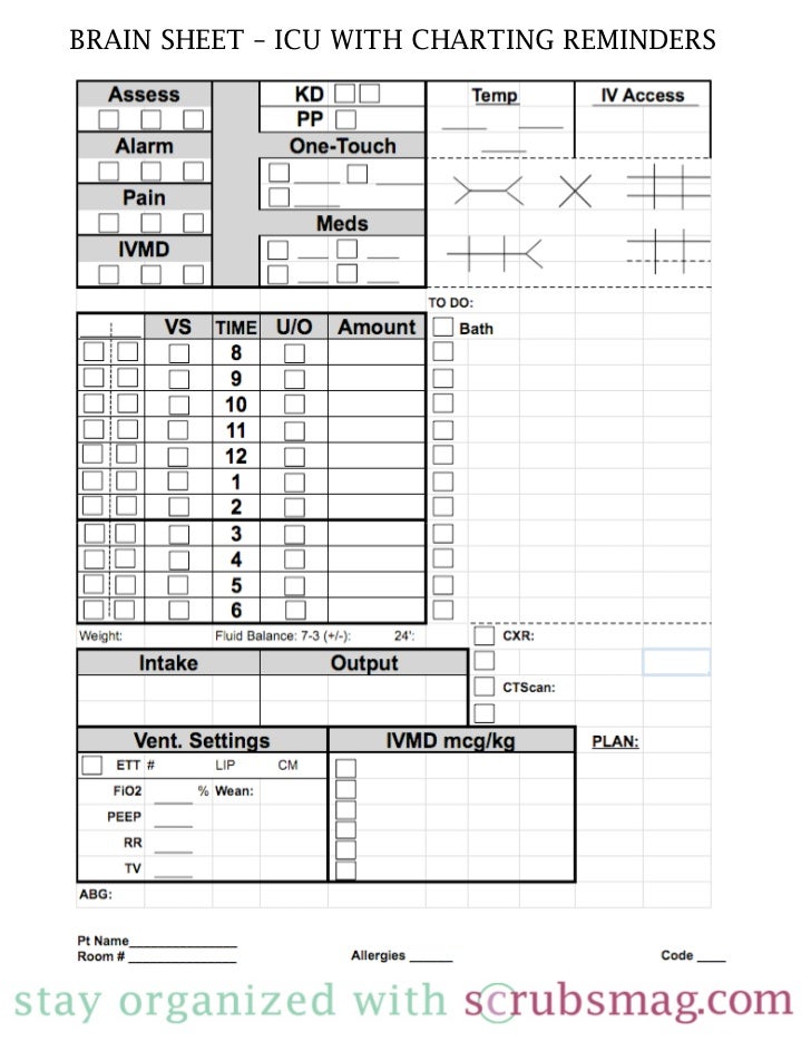 nursing report sheet templates ecza productoseb co