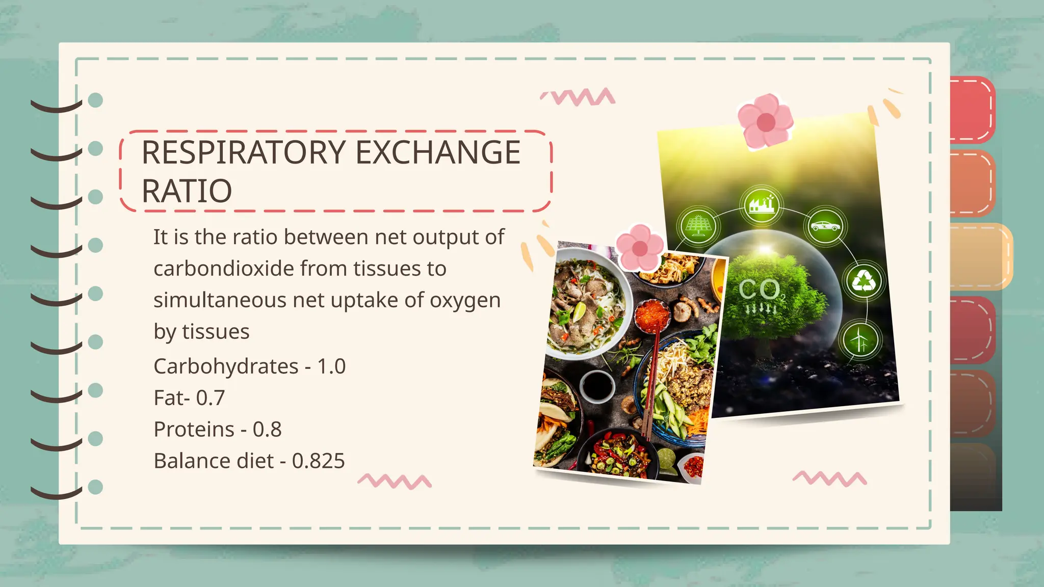 O2 Learning Exchange Exchange of gases - Transport of oxygen and carbondioxide | PPTX