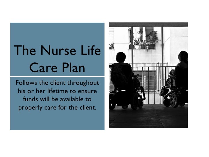 nurse-life-care-planner-power-point-2-ppt