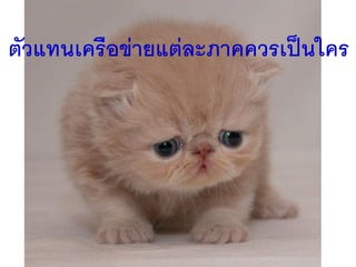 ตัวแทนเครือข่ายแต่ละภาคควรเป็นใคร
 