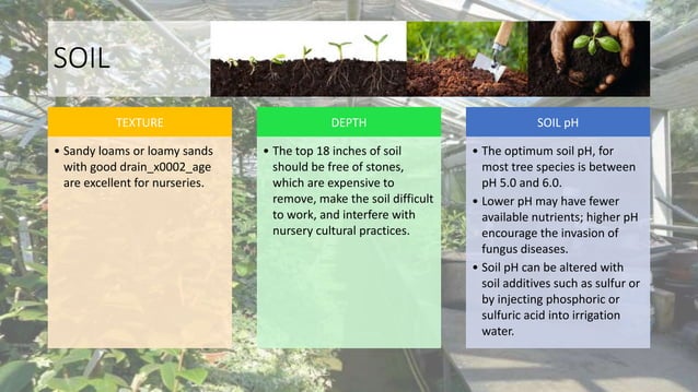 Nursery Site Selection Layout Development Pptx Nursery Site Selection Layout Development Pptx
