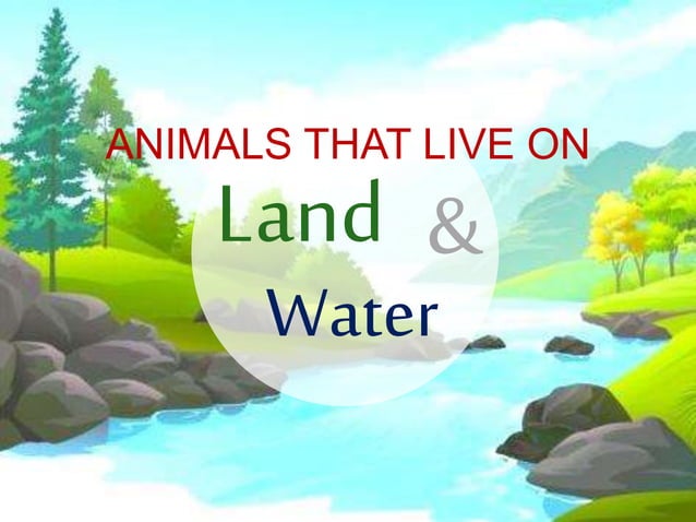 Animal Habitat - Land, Water, and Both Land and Water | PPT
