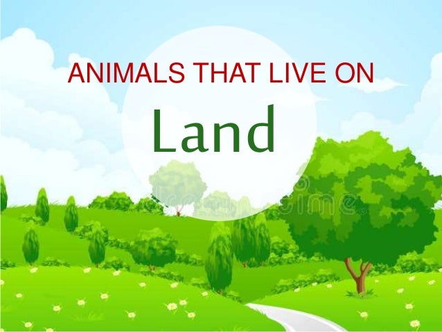 Animal Habitat - Land, Water, and Both Land and Water