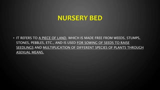 Nursery bed preparation and raising different vegetable crops | PPTX