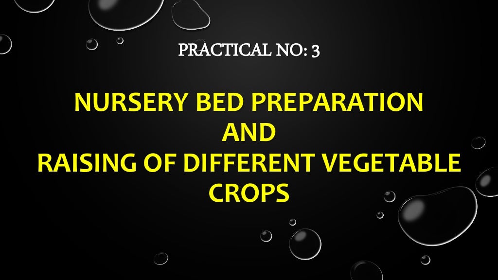 Nursery bed preparation and raising different vegetable crops