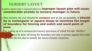 NURSERY LAYOUT
A perfect master plan is required otherwise improper layout plan will cause
considerable anxiety to nursery manager in future.
 The nursery lay out should be compact and as far as possible, it should
be in rectangular or square shape to minimize the length
of boundary for fencing and watch and ward point of
view.
For setting up of a commercial nursery provision of wind break/ shelter
break must be done all along the boundary not only to protect against hot wind
and wild life but also to modify the micro-climatic situations.
 