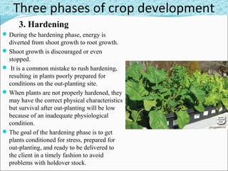 3. Hardening
The plants raised under growing structures
or protected environments with high
management become tender and ...