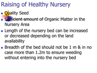 Raising of Healthy Nursery








Quality Seed
Sufficient amount of Organic Matter in the
Nursery Area
Length of the nursery bed can be increased
or decreased depending on the land
availability
Breadth of the bed should not be 1 m & in no
case more than 1.2m to ensure weeding
without entering into the nursery bed

 
