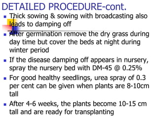 DETAILED PROCEDURE-cont.










Thick sowing & sowing with broadcasting also
leads to damping off
After germination remove the dry grass during
day time but cover the beds at night during
winter period
If the disease damping off appears in nursery,
spray the nursery bed with DM-45 @ 0.25%
For good healthy seedlings, urea spray of 0.3
per cent can be given when plants are 8-10cm
tall
After 4-6 weeks, the plants become 10-15 cm
tall and are ready for transplanting

 