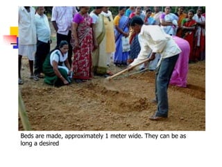 Beds are made, approximately 1 meter wide. They can be as
long a desired

 